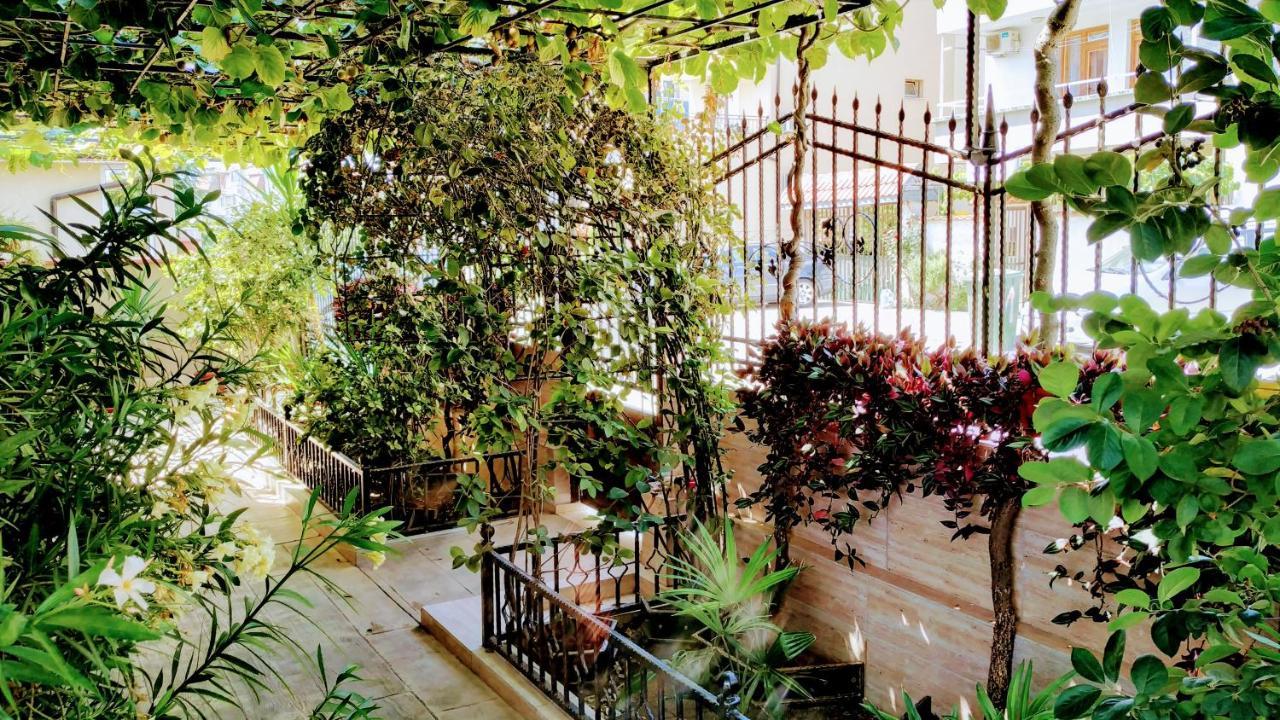 Dracena Guesthouse رافدا المظهر الخارجي الصورة