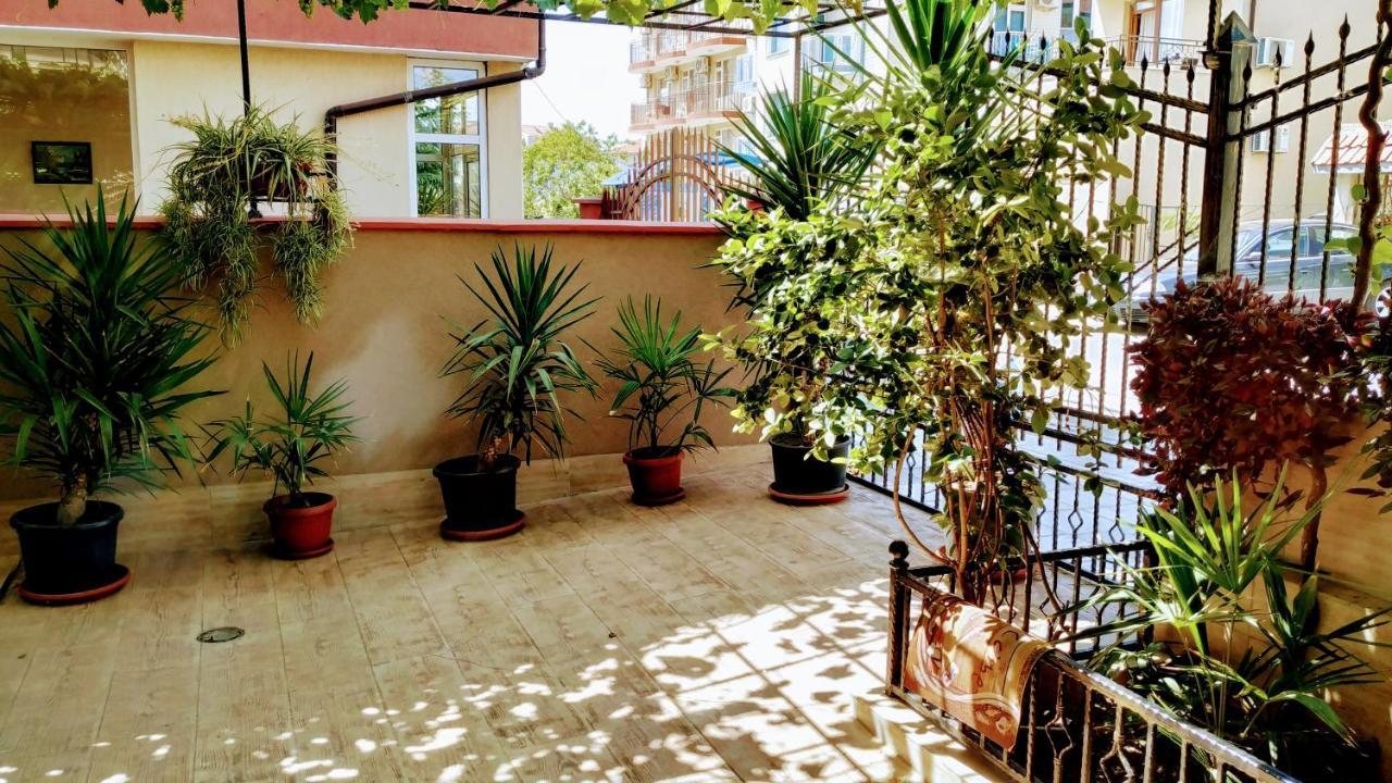 Dracena Guesthouse رافدا المظهر الخارجي الصورة