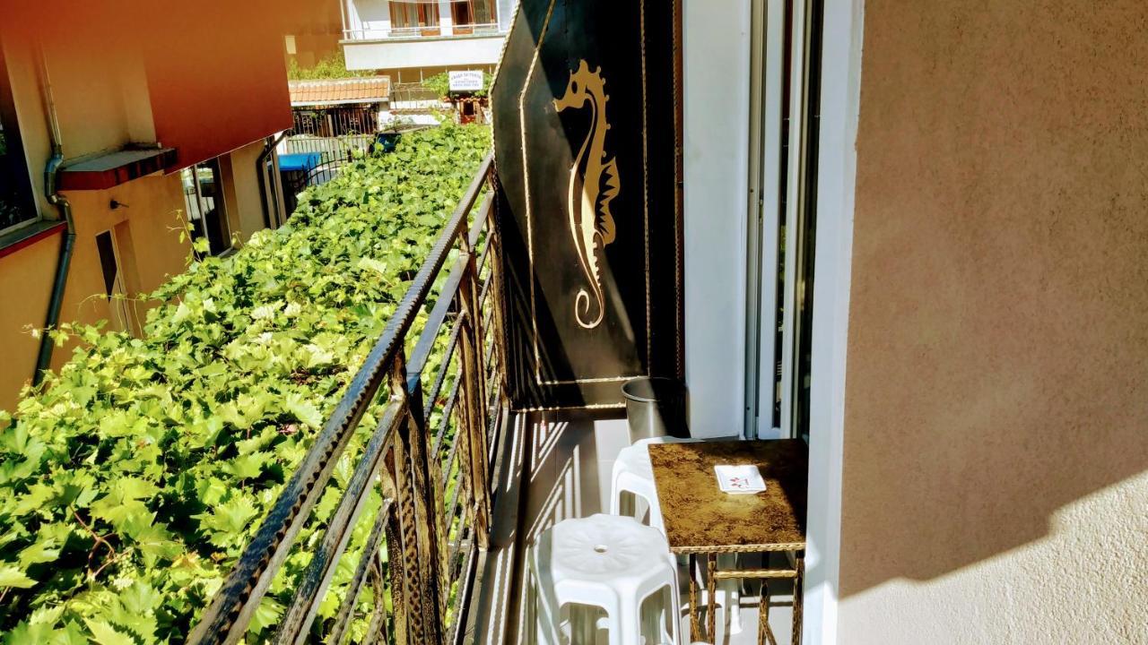 Dracena Guesthouse رافدا المظهر الخارجي الصورة