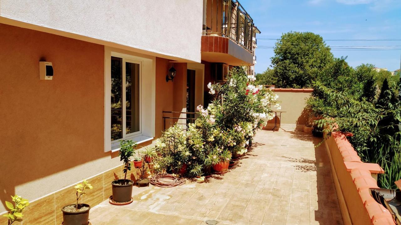 Dracena Guesthouse رافدا المظهر الخارجي الصورة