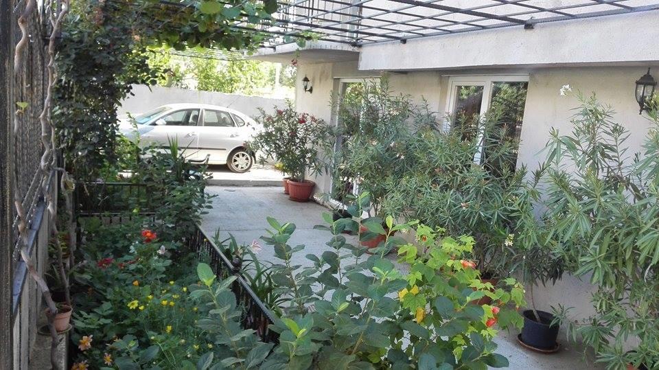 Dracena Guesthouse رافدا المظهر الخارجي الصورة
